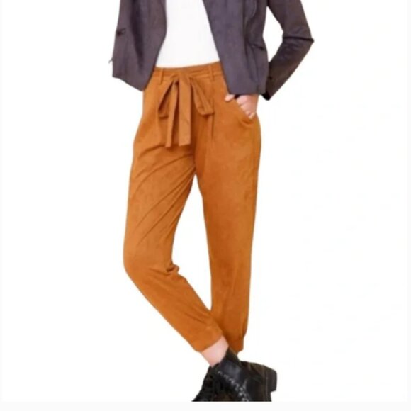 Francesca’s Collection Blue Rain Faux Suede Joggers - size medium - Picture 2 of 8